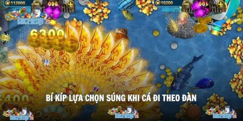 Chinh phục ngay bầy cá hấp dẫn khi áp dụng súng lưới cực đỉnh