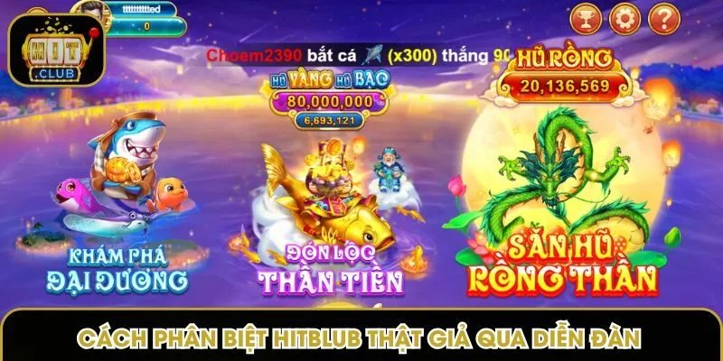 Cách phân biệt Hitblub thật giả qua diễn đàn